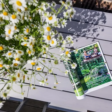 Robbenloft Holiday home